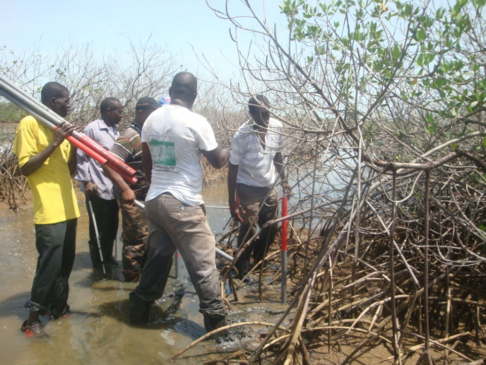 PSP establishment at Tanbi(Affected sites)